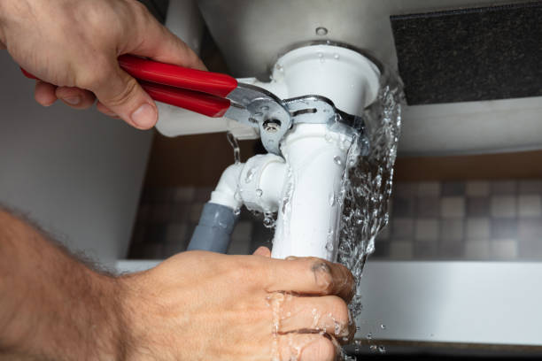 Best Local water damage restoration  in Humboldt, IA