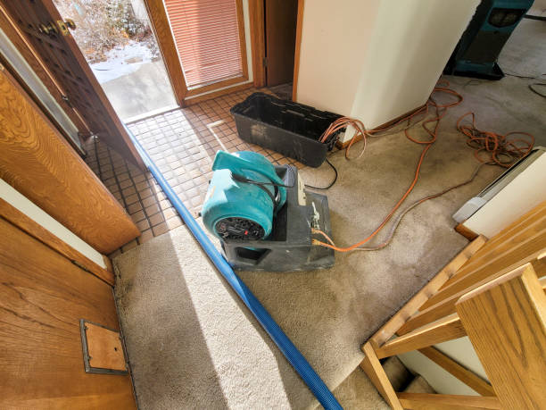Best Fire Damage Restoration  in Humboldt, IA