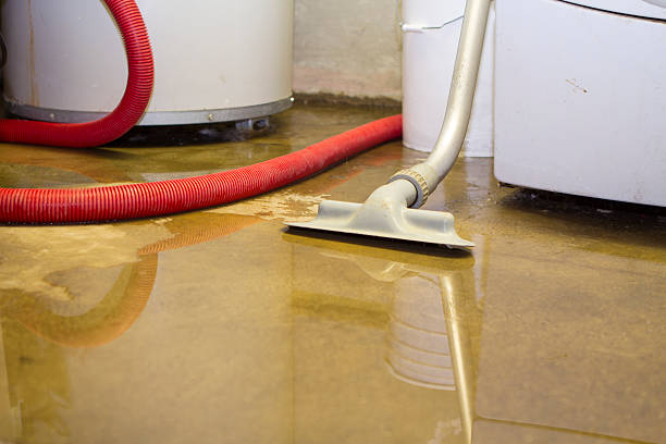 Best Water damage restoration services  in Humboldt, IA