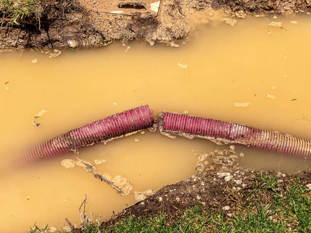 Best Carpet water damage restoration  in Humboldt, IA