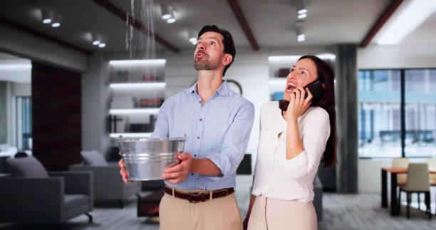 Reliable IA Water damage restoration Solutions